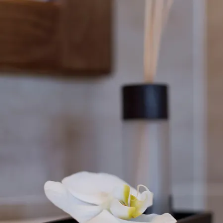 Wellness & Boutique Memories * Frystak