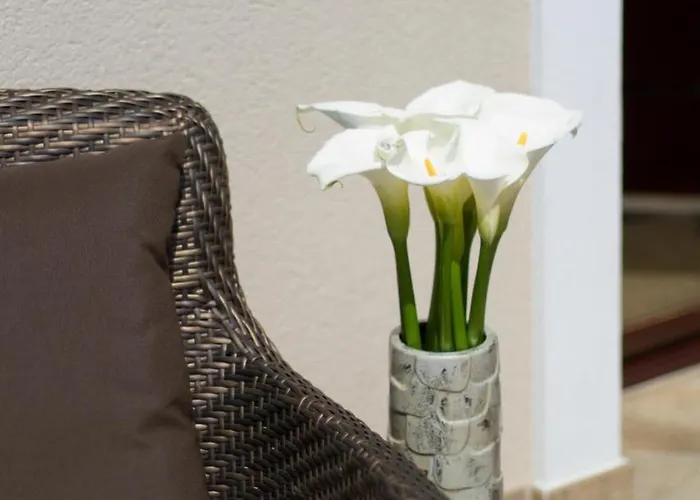 Wellness & Boutique Memories Villa